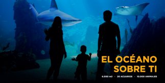Atlantis Aquarium Madrid