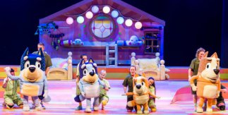 El show de Bluey