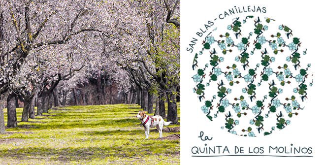Parque Quinta de los Molinos. Distrito Canillejas