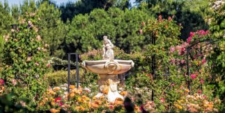Rosaleda de El Retiro © Álvaro López del Cerro