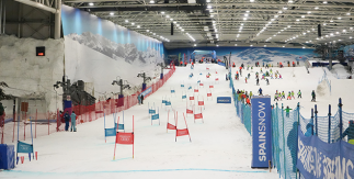 Snozone